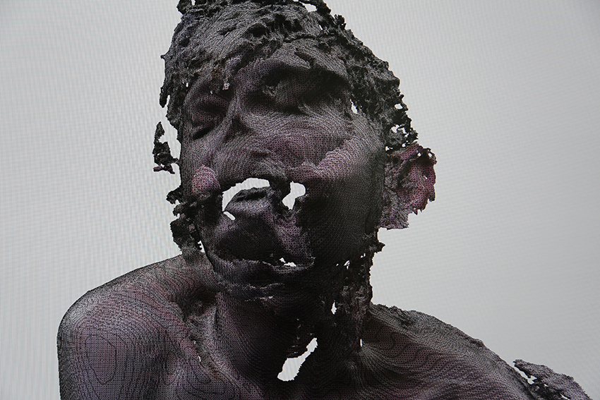 Interrupted 3D scan by artist Paul Coombs